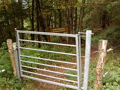 La Forêt Domaniale de Saint-Antoine est une des plus vastes forêts du massif vosgien; la partie supérieure est réserve naturelle